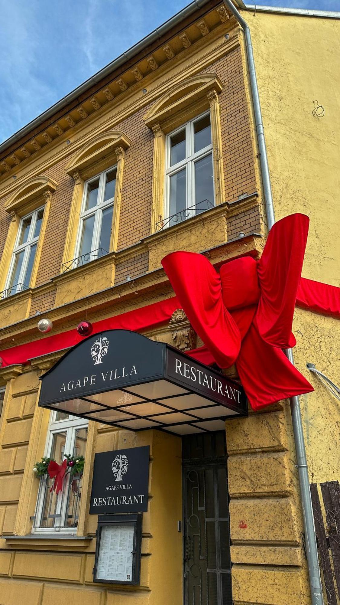 Agape Villa Apartments Novi Sad Buitenkant foto